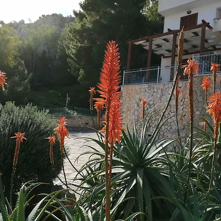 Hotel Auralba 3*